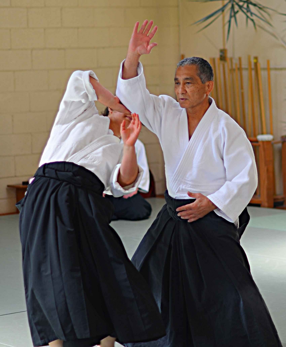 Best of Sensei 2015_9