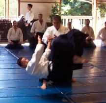 Best of Sensei 2011_1