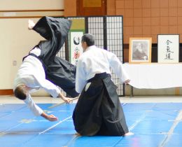 Best of Sensei 2013_4