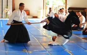 Best of Sensei 2013_5