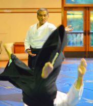 Best of Sensei 2015_21