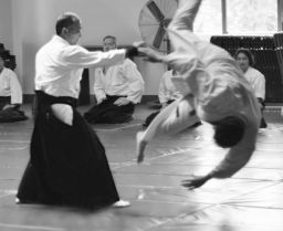 Best of Sensei 2012_10