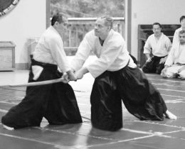 Best of Sensei 2012_13