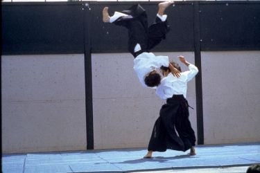 Best of Sensei 1980s_8